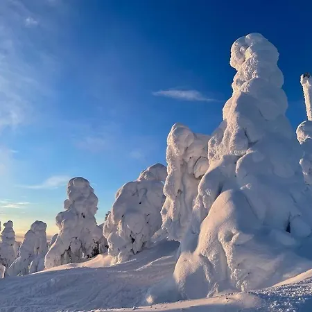 Huoneisto Snowfall Haven - Skiout *