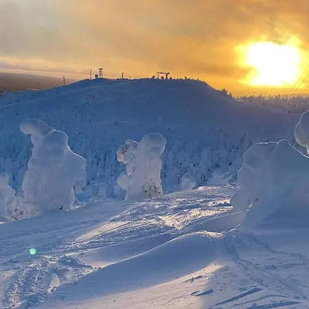 Snowfall Haven - Skiout * Ruka