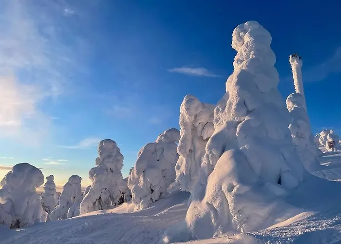 Апартаменты Snowfall Haven - Skiout *