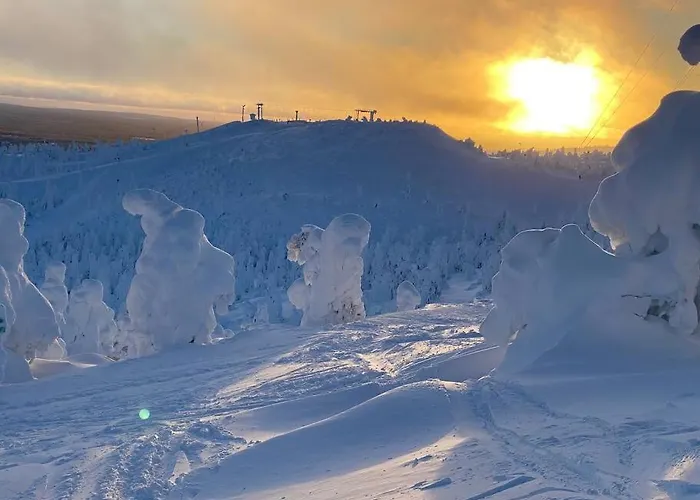 Snowfall Haven - Skiout * Рука